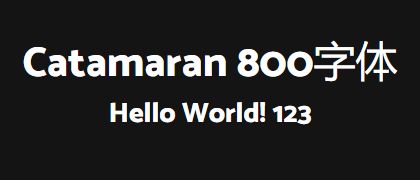Catamaran-800
