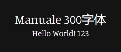 Manuale-300