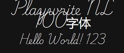 Playwrite-NL-100