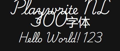 Playwrite-NL-300