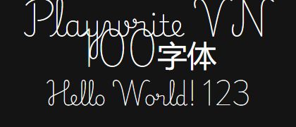 Playwrite-VN-100